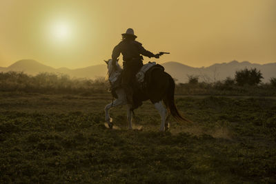 Rear view of man riding horse on field during sunset