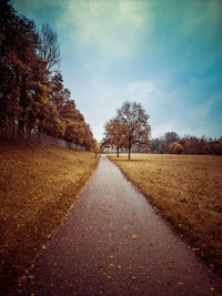 Road amidst trees against sky during autumn