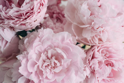 Close-up of pink flower bouquet