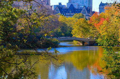 Arch bridge over river during autumn