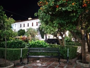 Trees and plants in yard against building