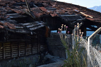 People on wood against built structures