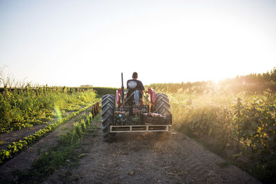 Man sitting on agricultural field against sky