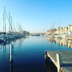 Sailboats moored at harbor against clear blue sky