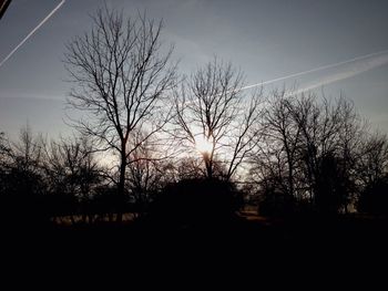 Silhouette bare trees against sky at sunset