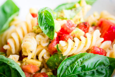 Close-up of rotini pasta served in plate