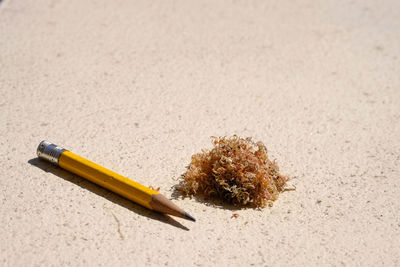 High angle view of colored pencils on floor