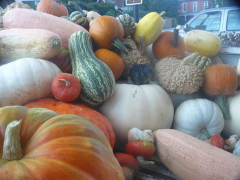 Close-up of pumpkins