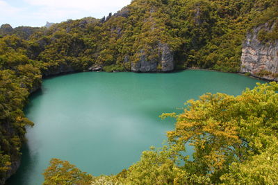 View of calm lake against lush foliage