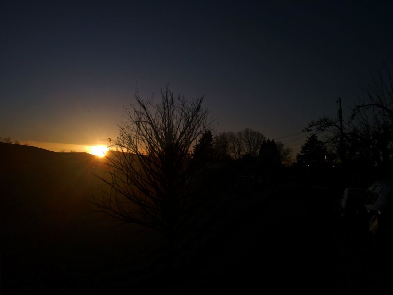 SILHOUETTE TREES AGAINST SKY DURING SUNSET