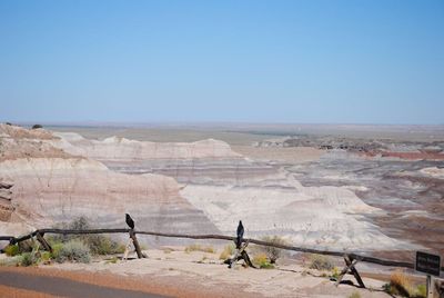 People on road in desert against clear sky