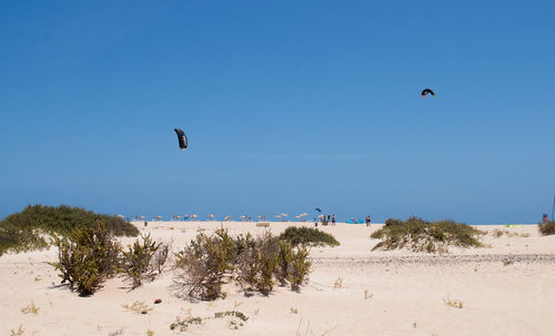 Scenic view of beach against clear blue sky