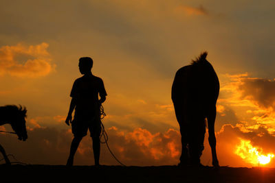 Silhouette man with horses on field against orange sky