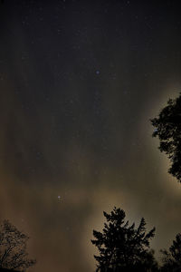 Low angle view of silhouette trees against sky at night