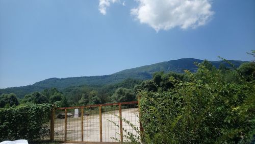 Scenic view of landscape against blue sky