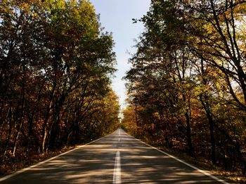 Empty road amidst trees in forest during autumn