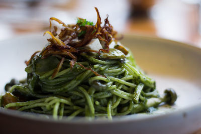 Close-up of meal served in plate