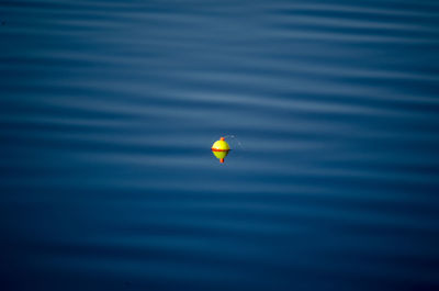 Close-up of yellow balloons against blue sky