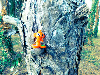 Close-up of lizard on tree trunk