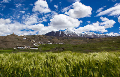 Scenic view of landscape against cloudy sky