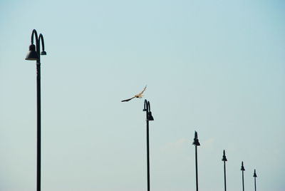 Low angle view of birds perching on street light