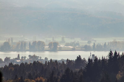 Panoramic view of trees and landscape against sky