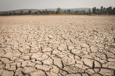 Surface level of barren land