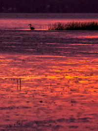 Scenic view of sea against orange sky