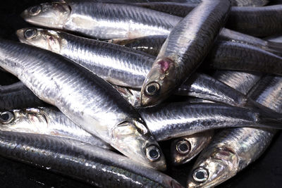 Full frame shot of fish