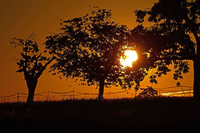 Silhouette trees on field against sky during sunset