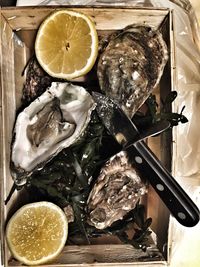 Directly above shot of oysters and lemon in box