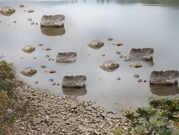 High angle view of rocks in water