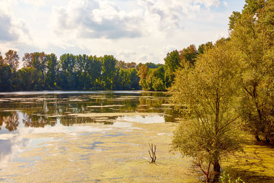 Near xanten is the bislicher insel one of the few remaining alluvial landscapes in germany.