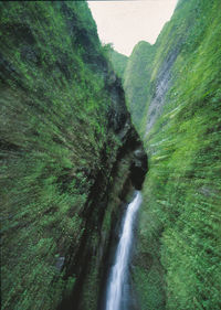 scenics - nature