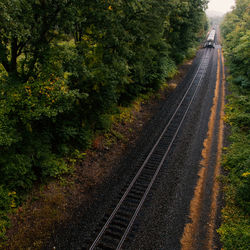High angle view of railroad tracks amidst trees