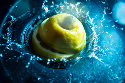 High angle view of lemon in water