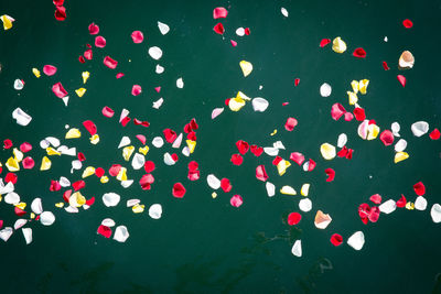 Directly above flower petals floating on water