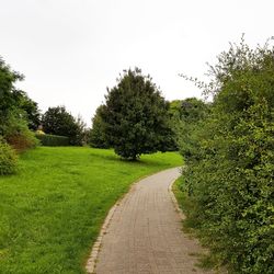 Road amidst trees against clear sky