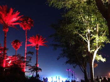 Low angle view of trees against sky at night