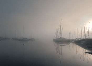 Boats in harbor