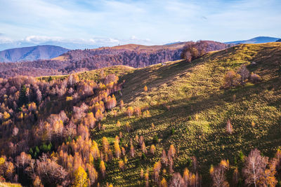 Mountains in the fall season, paltinis area, sibiu county, romania