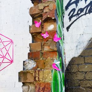 Colorful flowers against wall