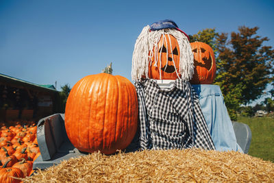 View of pumpkins on field against sky