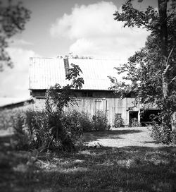 Trees in front of building