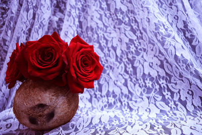 Close-up of red flowers