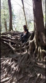 Man tree trunk in forest