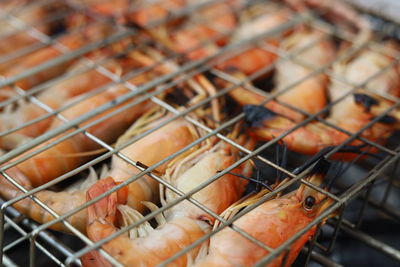 Close-up of meat on barbecue grill