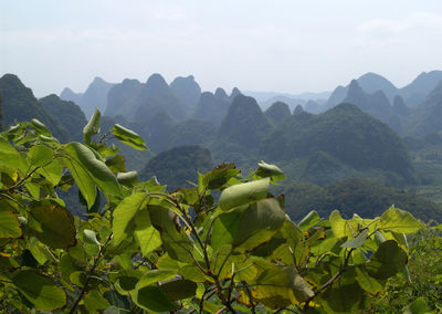 View of a mountain range
