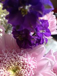 Close-up of purple flowers