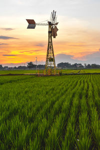 Scenic view of agricultural field against sky during sunset